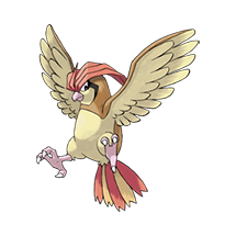 pidgeotto