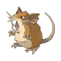 raticate